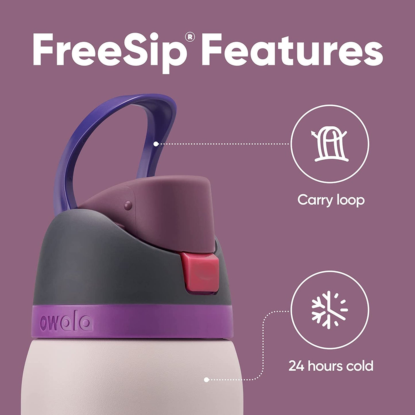 Freesip 24oz Insulated Stainless Steel Water Bottle with Straw - BPA-Free