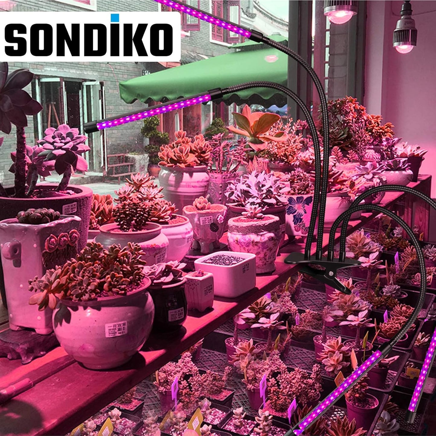 Full Spectrum Indoor Plant Grow Lights with Auto On/Off Timer, Dimmer, Adjustable Gooseneck, and Multiple Switch Modes for Greenhouse, Home, and Office Use
