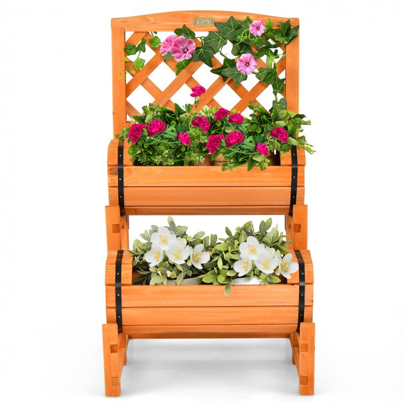 Two-Tier Raised Garden Bed with Dual Cylindrical Planter Boxes and Integrated Trellis