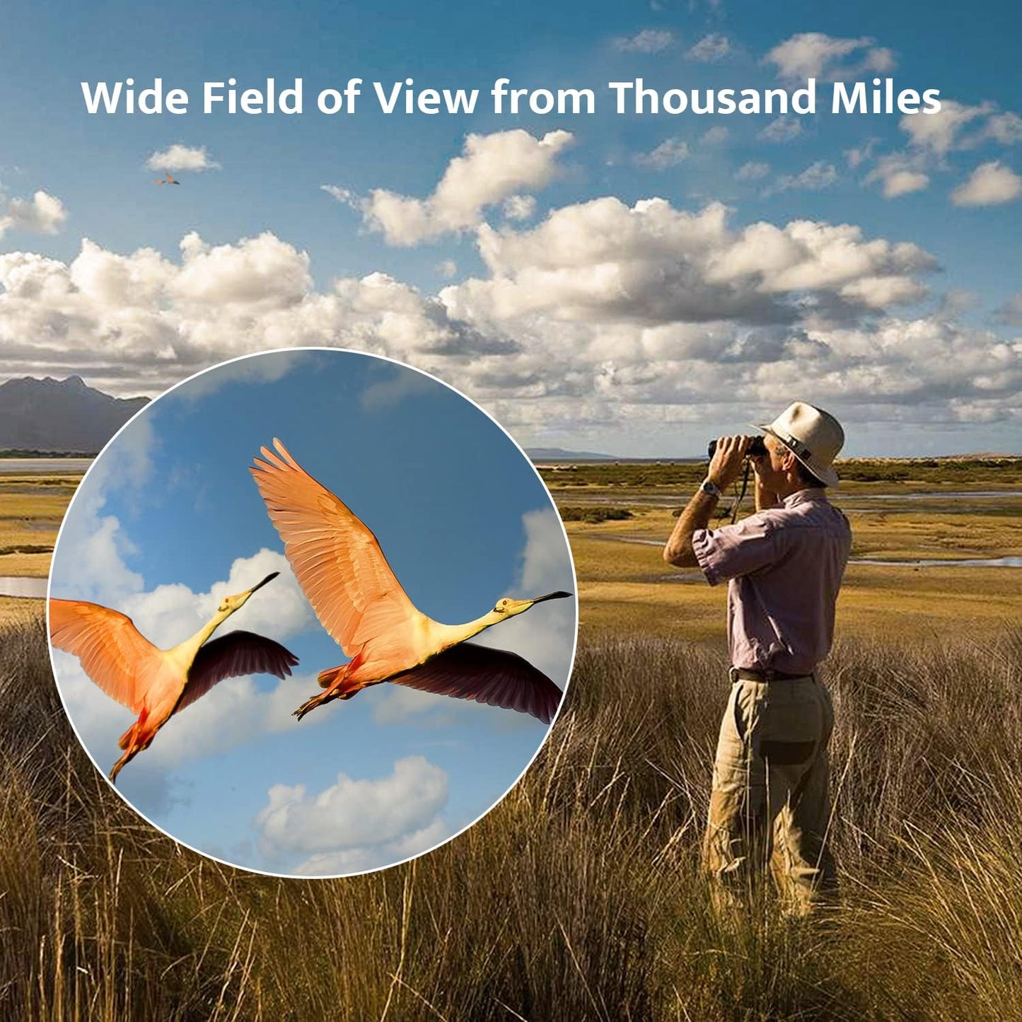 High Definition 12X50 Binoculars for Adults with Phone Adapter and Tripod