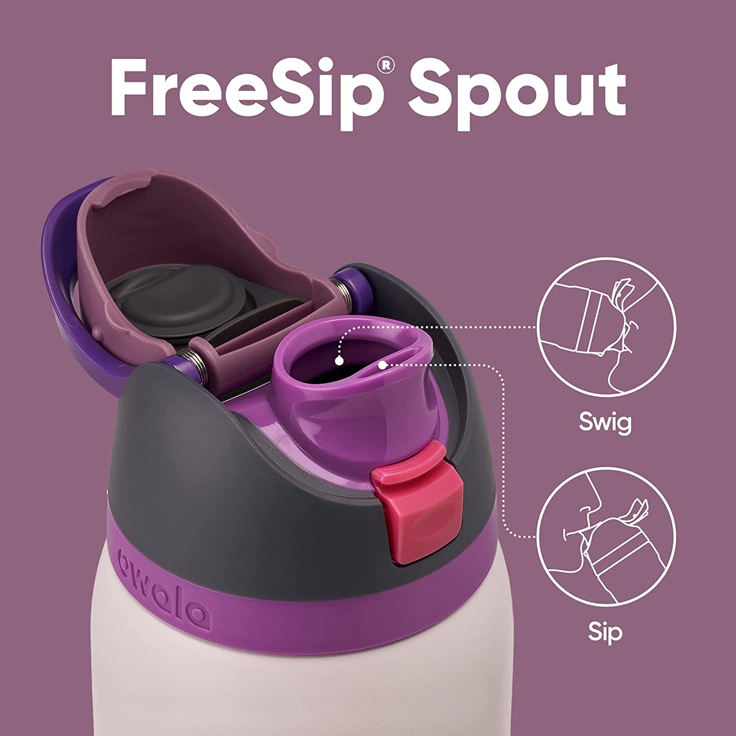 Freesip 24oz Insulated Stainless Steel Water Bottle with Straw - BPA-Free