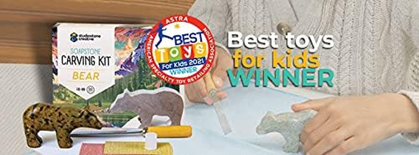 Bear Soapstone Sculpture Carving DIY Arts and Crafts Kit for Kids Adults