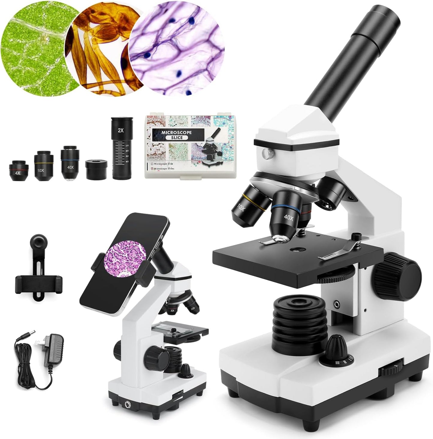 2000X Compound Microscope Kit for Adults and Children - Complete Biological Microscope Set with Slides for Educational Use