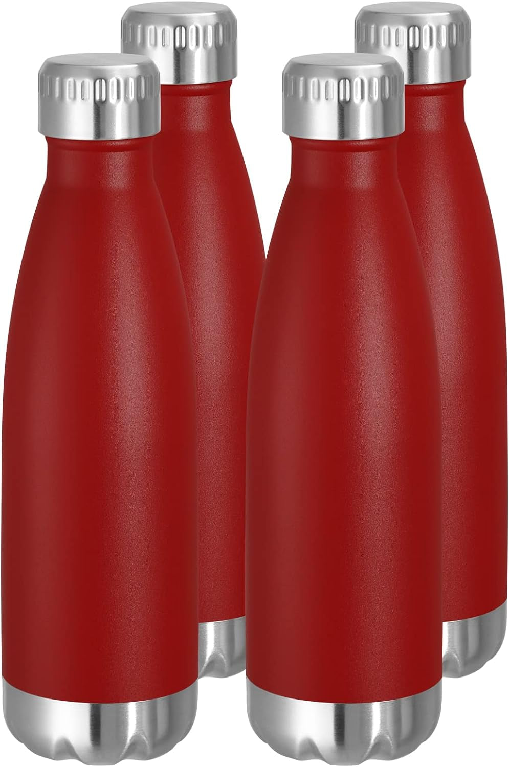 17 oz Stainless Steel Insulated Water Bottle - Reusable Double Wall Vacuum Flask for Hot and Cold Beverages, BPA Free