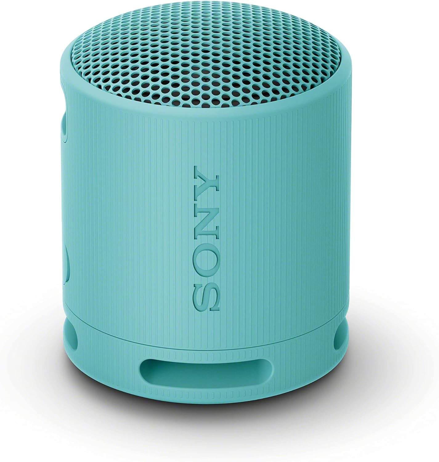 SRS-XB100 Wireless Bluetooth Portable Speaker - IP67 Waterproof & Dustproof, 16-Hr Battery Life, Strap, Hands-Free Calling - Grey