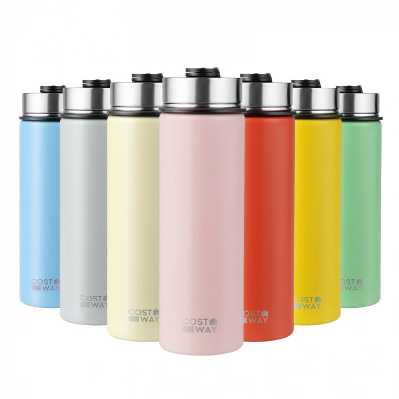 22 oz Double-Walled Insulated Stainless Steel Water Bottle with Straw Lid