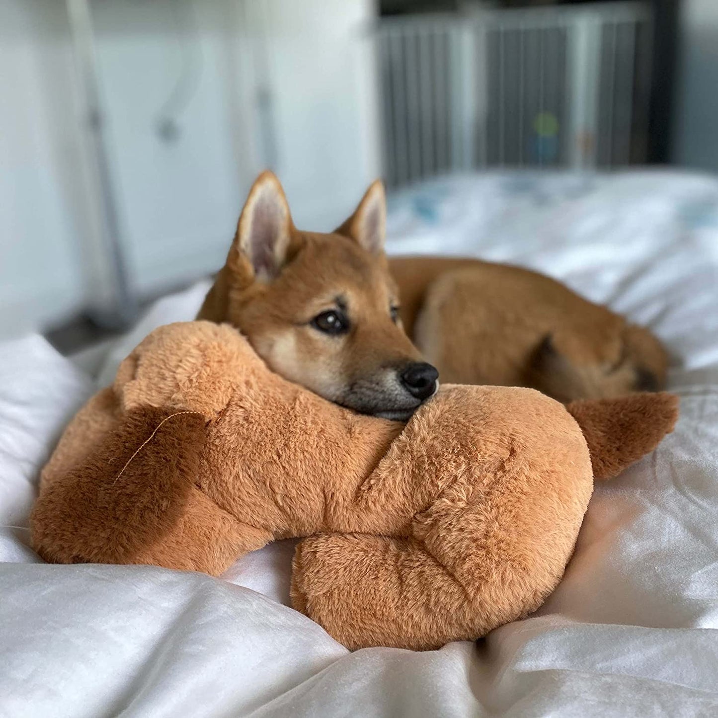 Snuggle Puppy Heartbeat Plush Toy Dogs - Anxiety Relief, Calming Support - Comfort Companion Behavioral Training - Biscuit Color