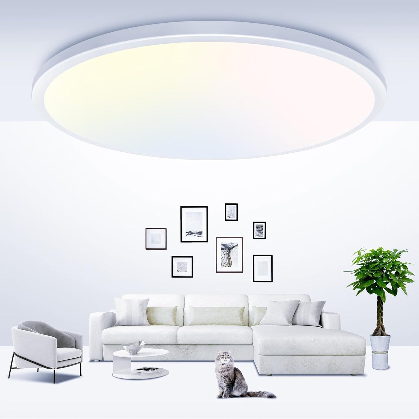 12-Inch LED Flush Mount Ceiling Light Fixture, 28W 3200Lm Adjustable Color Temperature (3000K/4500K/6000K) for Bedroom, Kitchen, and Dining Room (White)