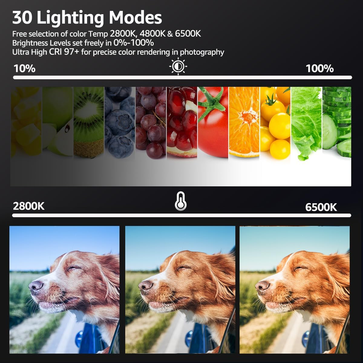 2-Pack LED Video Light Kit with Adjustable Color Temperature (2800-6500K), Dimmable Continuous Lighting, Tripod Stand & Phone Holder