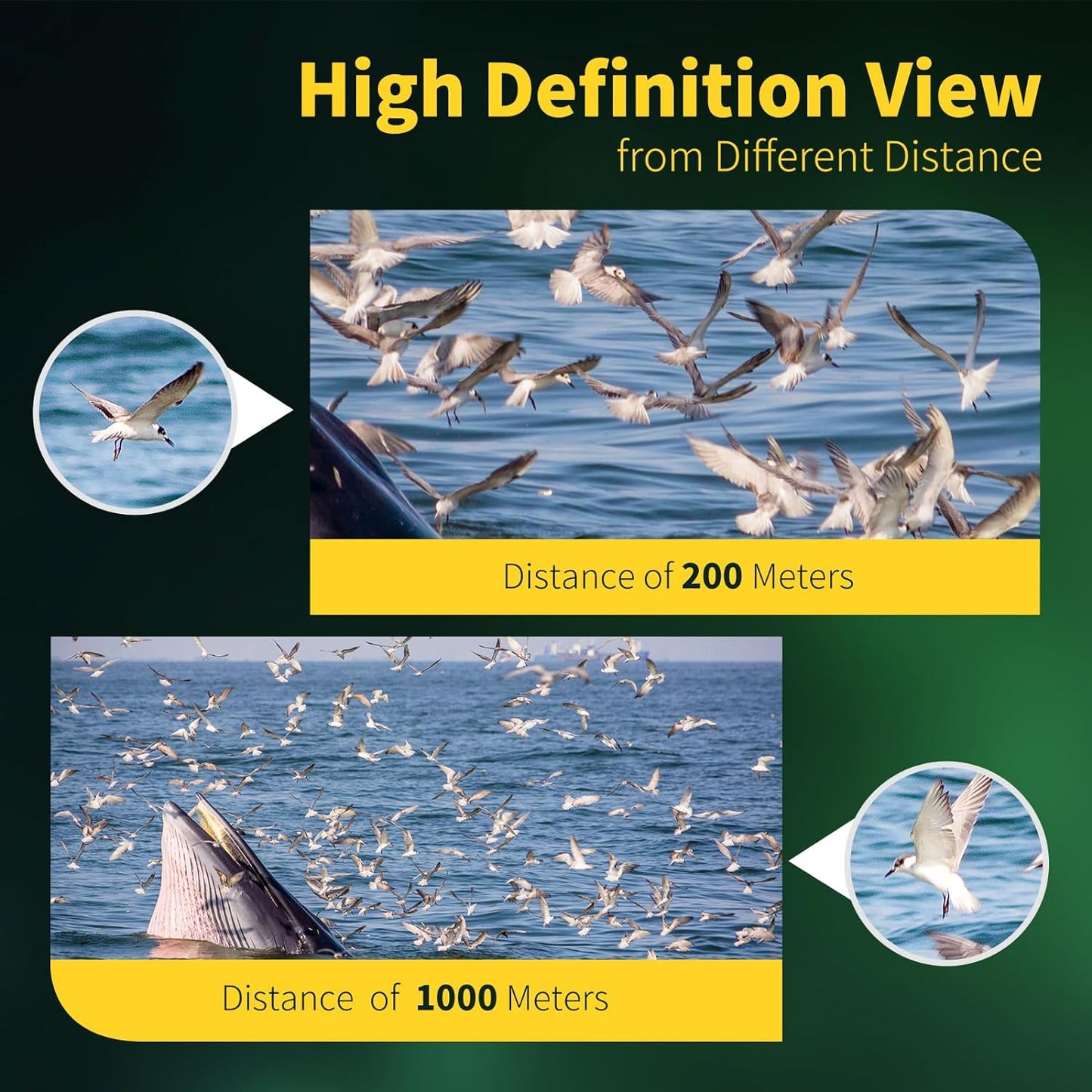 High-Power 20x50 Binoculars for Adults – Waterproof with BAK4 Prism and Multi-Layer Coated Lenses