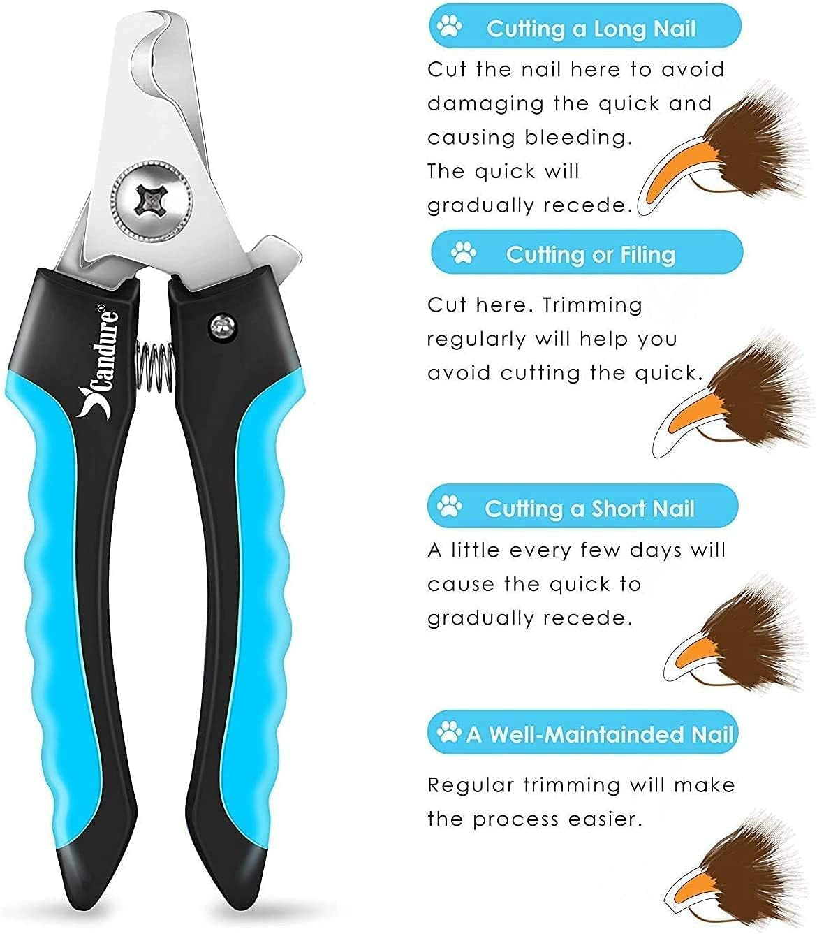Dog Nail Clippers -Safety Guard, Pet Razor Edge Blades - Free Nail File