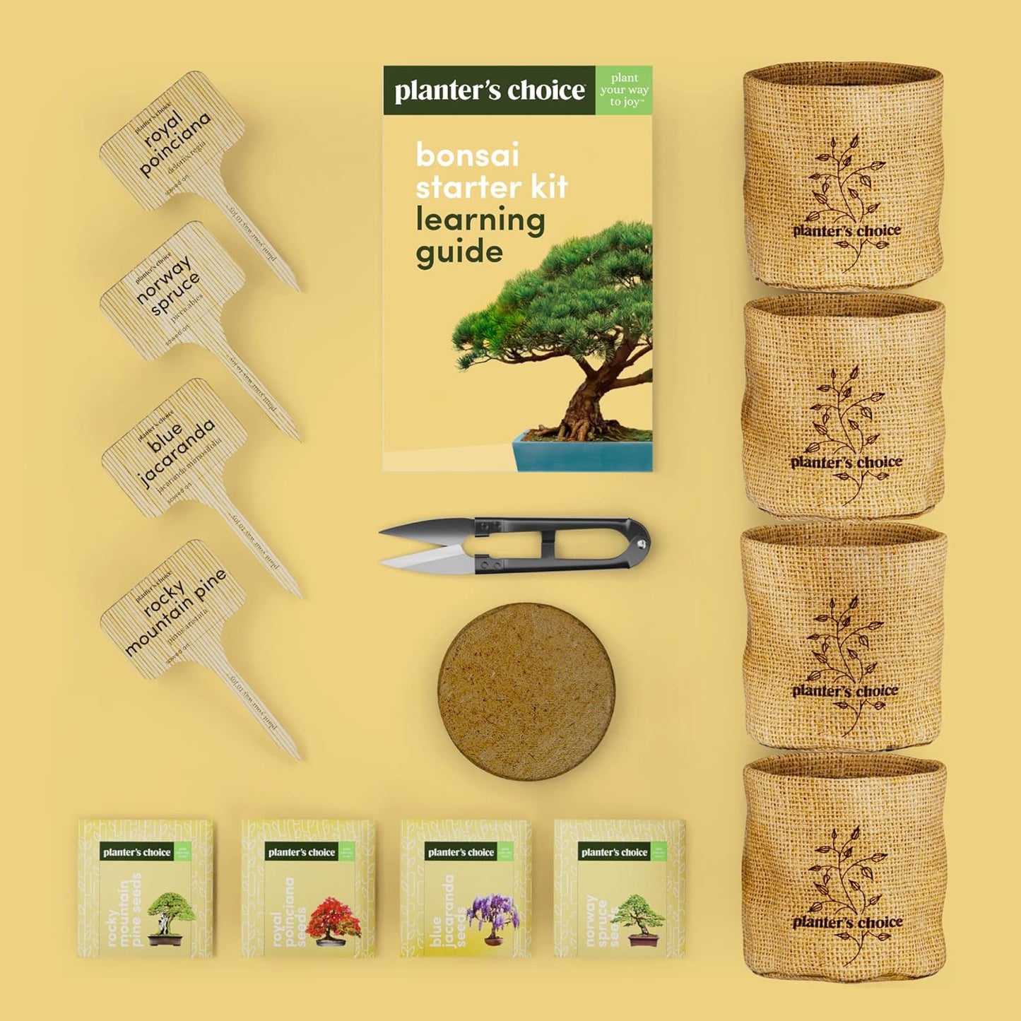 Bonsai Starter Kit - Ideal Gardening Gift for Enthusiasts - Unique DIY Craft Kit for Adults - Thoughtful Easter Gift for Garden Plant Lovers and Gardening Mothers