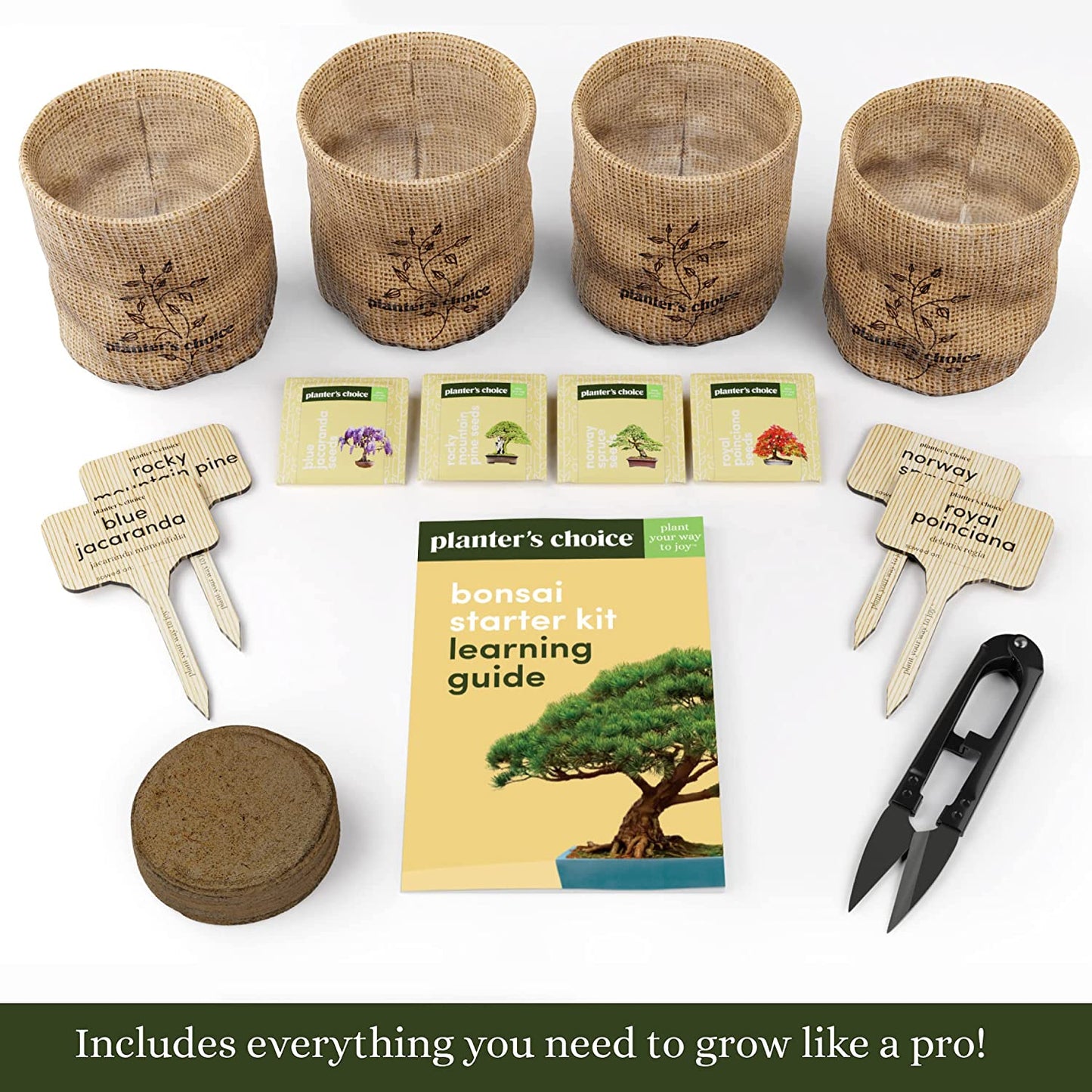 Bonsai Starter Kit - Ideal Gardening Gift for Enthusiasts - Unique DIY Craft Kit for Adults - Thoughtful Easter Gift for Garden Plant Lovers and Gardening Mothers