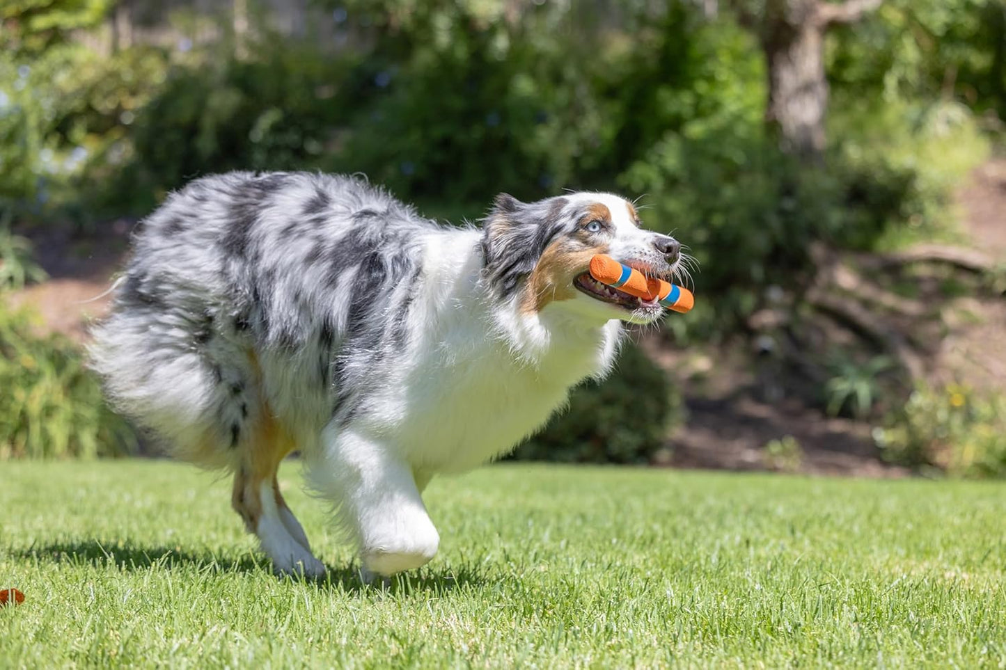 12-Inch Fetch Stick Outdoor Dog Slobber Free Pet Toy for All Breeds-Ring Chaser, Interactive, Indestructible Toy