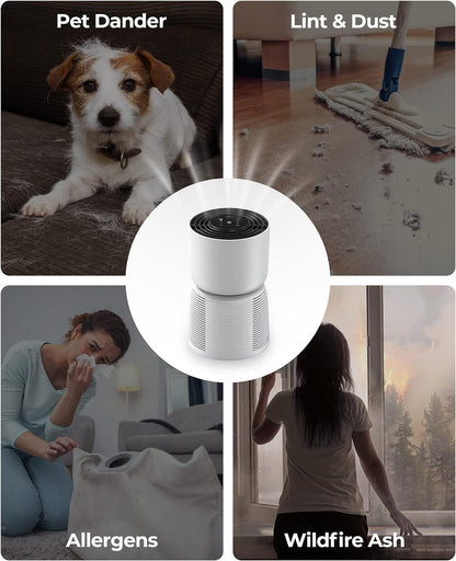 Ultra Quiet HEPA Air Purifier for Bedrooms and Home Offices (215 Ft²) - 22dB Sleep Mode, Night Light, Auto Mode, Washable Filter