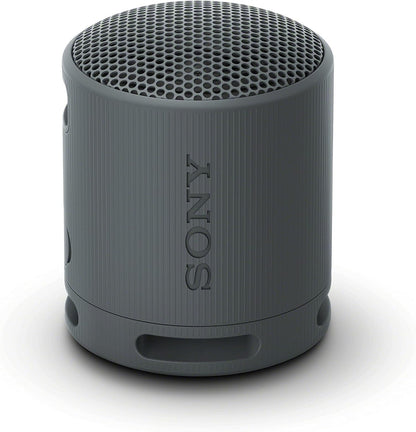 SRS-XB100 Wireless Bluetooth Portable Speaker - IP67 Waterproof & Dustproof, 16-Hr Battery Life, Strap, Hands-Free Calling - Grey