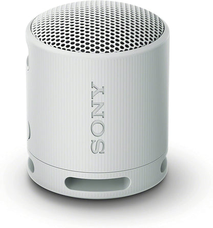 SRS-XB100 Wireless Bluetooth Portable Speaker - IP67 Waterproof & Dustproof, 16-Hr Battery Life, Strap, Hands-Free Calling - Grey