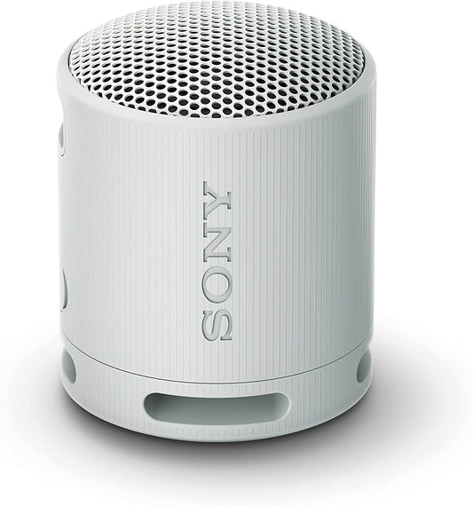 SRS-XB100 Wireless Bluetooth Portable Speaker - IP67 Waterproof & Dustproof, 16-Hr Battery Life, Strap, Hands-Free Calling - Grey