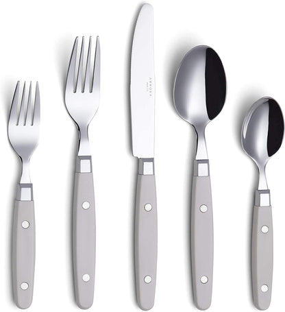 20-Piece Stainless Steel Silverware Set with Colorful Riveted Handles in Retro Morandi Design