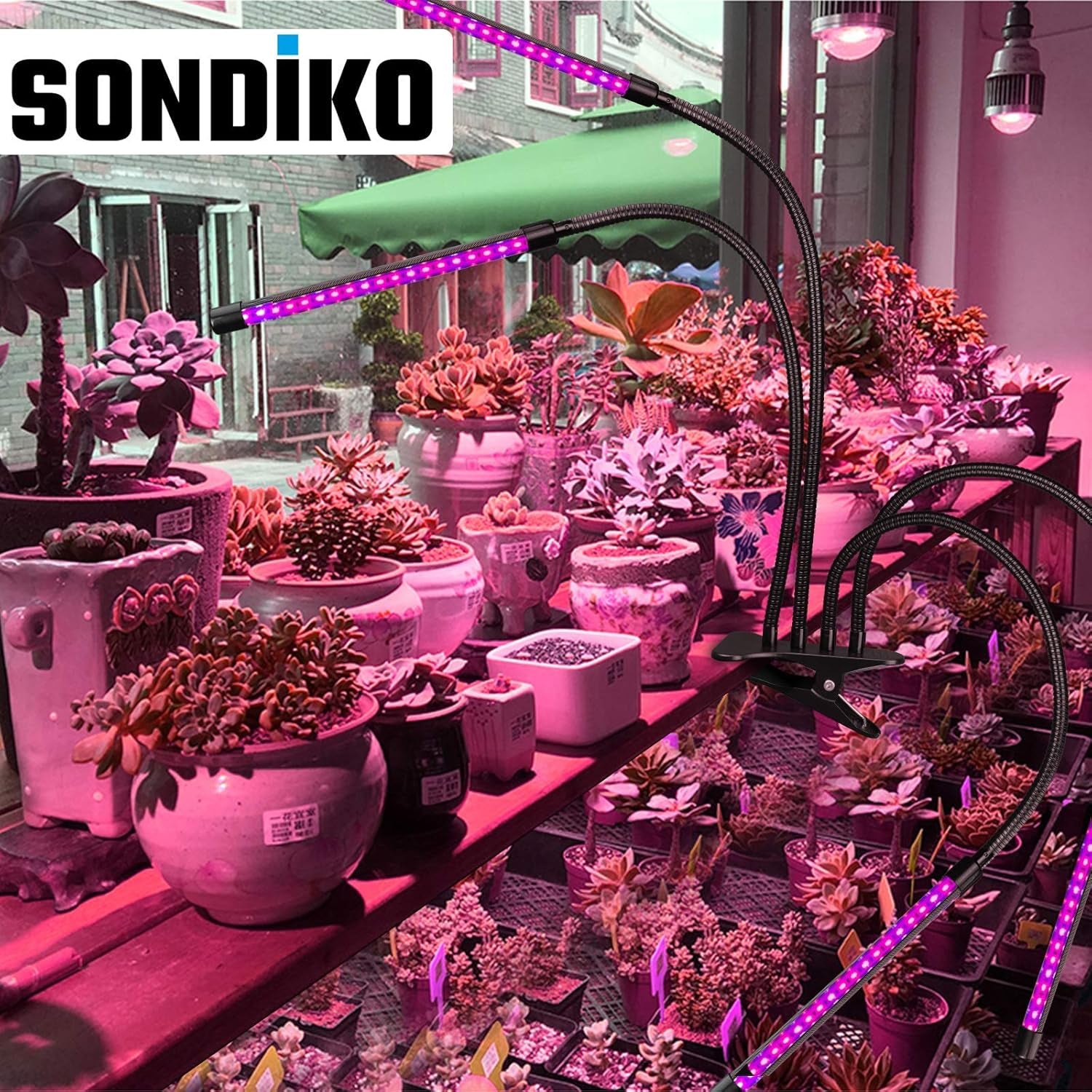 Full Spectrum Indoor Plant Grow Lights with Auto On/Off Timer, Dimmer, Adjustable Gooseneck, and Multiple Switch Modes for Greenhouse, Home, and Office Use