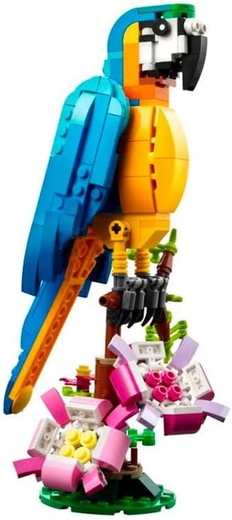 Creator 3-in-1 Exotic Parrot Building Toy Set-Transforms into Parrot, Fish, and Frog Figures, Ideal Creative Toy Ages 7+ 